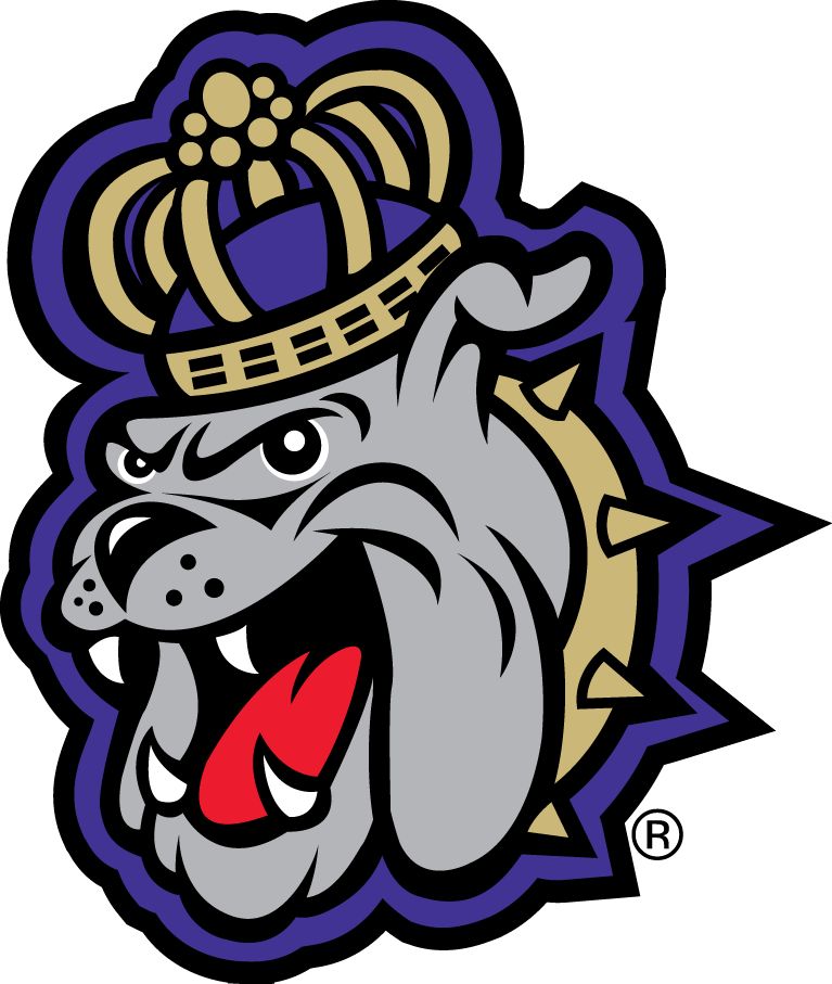James Madison Dukes 2013-2016 Alternate Logo diy iron on heat transfer